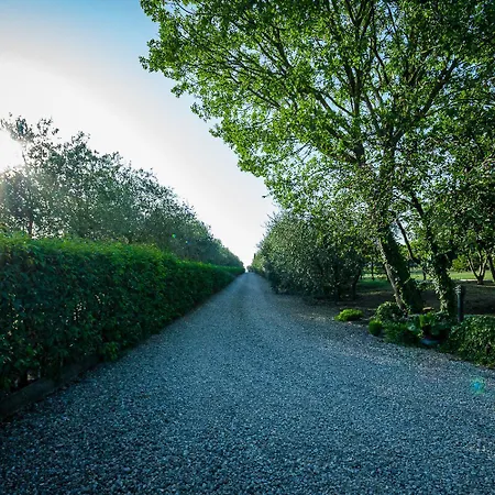 Вилла Brolio Quinto, Ideale Per Famiglie Кастильон-Фьорентино