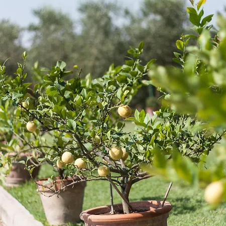 Brolio Quinto, Ideale Per Famiglie *