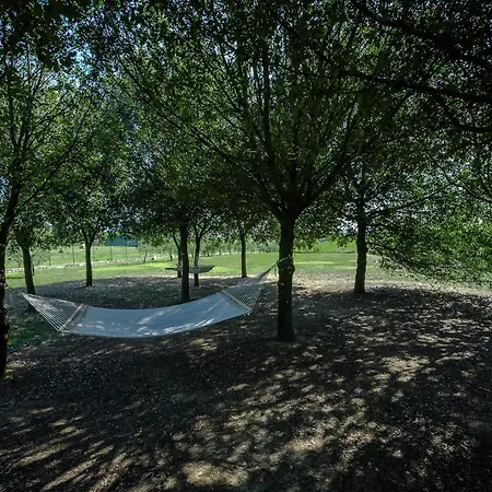 Villa Brolio Quinto *