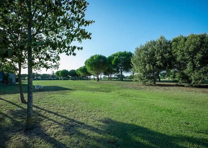 Brolio Quinto, Ideale Per Famiglie Castiglion Fiorentino