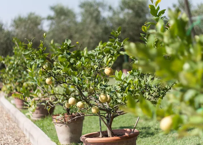 Brolio Quinto, Ideale Per Famiglie *